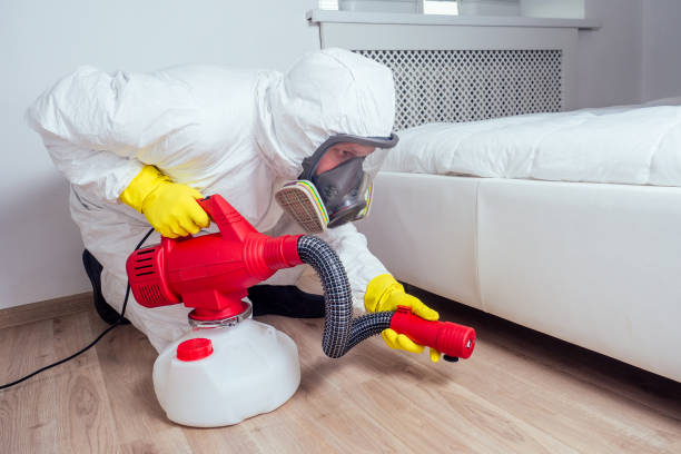 Best Flea Control Services  in Lincoln, MO