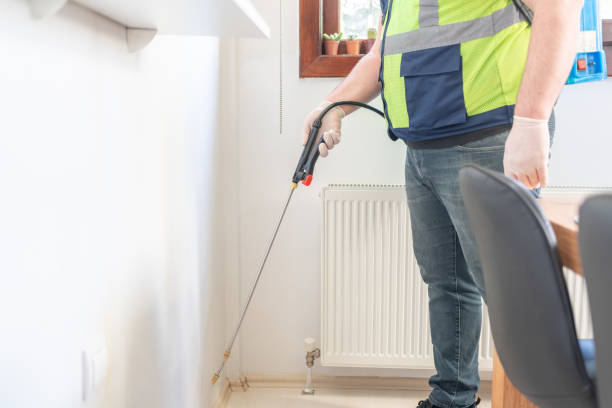 Best Termite Control Services  in Lincoln, MO