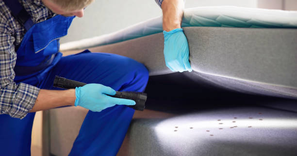 Best Best Pest Control Companies  in Lincoln, MO