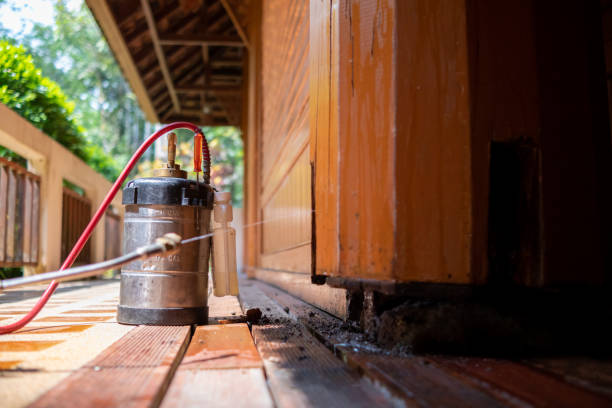 Pest Prevention Services in Lincoln, MO