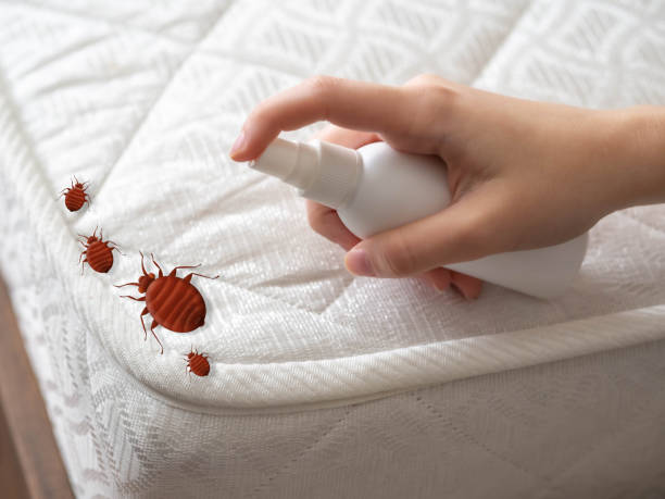 Best Pest Control for Businesses  in Lincoln, MO