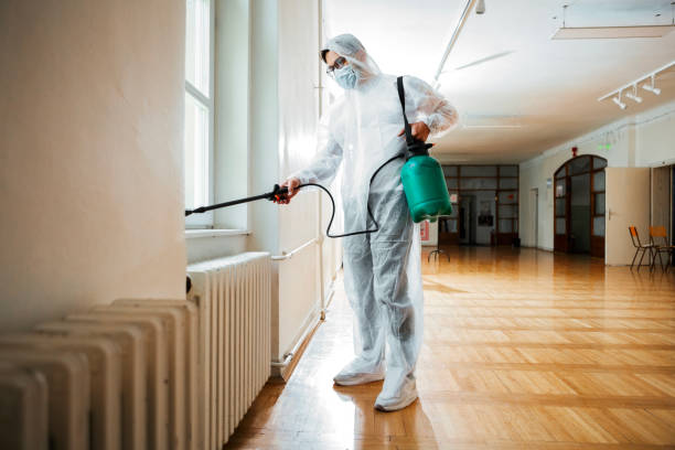 Flea Control Services in Lincoln, MO