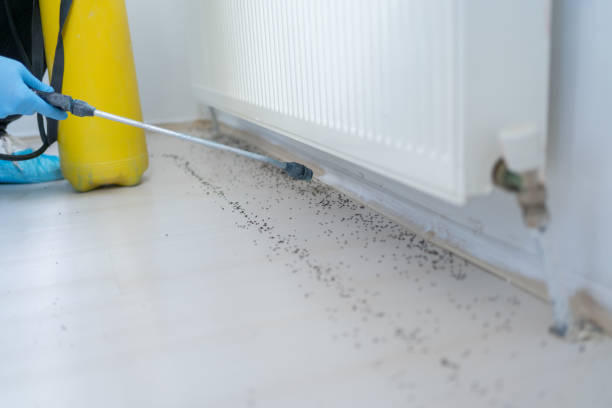 Best Residential Pest Control  in Lincoln, MO