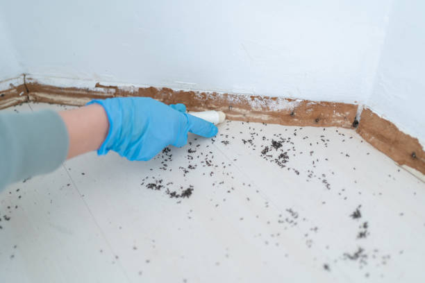 Pest Control for Restaurants in Lincoln, MO