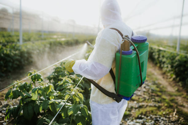 Best Local Pest Control Services  in Lincoln, MO